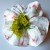 lniana-frotka-kwiaty-scrunchie.jpg
